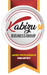 Kabizu Business Group